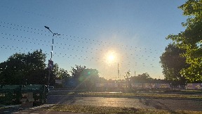 Uticaj vrućine na glodare